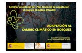 ADAPTACIÓN AL CAMBIO CLIMÁTICO EN BOSQUES...y la Biodiversidad Gestores forestales Especialistas científicos, técnicos y académicos en planificación forestal, Expertos en modelización