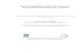 Respuestas ecofisiológicas del olivo (Olea europaea L.) al ...ri.agro.uba.ar/files/download/tesis/doctorado/2018aguero...Respuestas ecofisiológicas del olivo (Olea europaea L.) al