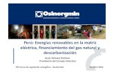 Perú: Energías renovables en la matriz eléctrica ......Perú: Energías renovables en la matriz eléctrica, financiamiento del gas natural y descarbonización Jesús Tamayo Pacheco