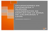 OCUPACIONES EN CALERUEGA Y NUEVOS ...inserta-t.arribesdelduero.es/wp-content/uploads/2018/06/...de Valladolid y León. En los sectores de la industria y de la construcción los activos