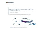 Mesoteliomas en Bizkaia. 1986-2013. · 2019. 5. 9. · RCEME Bizkaia Mesoteliomas en Bizkaia. 1986-2013. Informe correspondiente al segundo trimestre de 2016 Unidad de Vigilancia