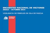 ENCUENTRO NACIONAL DE VECTORES - Gobierno de Chile · vigilancia de febriles • aÑo 2002 se produce un brote de dengue 1 637 personas • implementa la vilancia de febriles como