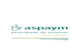 Plan de Actuación 2017 - ASPAYM Asturias · 2019. 1. 23. · 1. La estructura y funcionamiento organizativo se mantienen sin cambios, con respecto a los planes de actuación anteriores.