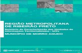 REGIÃO METROPOLITANA DE RIBEIRÃO PRETOemplasa.sp.gov.br/Cms_Data/Contents/Emplasa/Media/public... · 2020. 1. 28. · Já à FESP-SP coube o levantamento das informações disponíveis