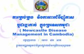 ( Newcastle Disease Management in Cambodia) bgðajeday ³ elak … · 2019. 10. 7. · - edIm,IRtYtBinitü nigkarBarTb;sáat;Cm¶Wj:ÚkasenAtamPUmi Pñak;garsuxPaBstV PUmimanParkic©cMbg