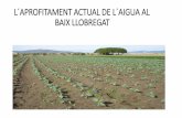 L´APROFITAMENT ACTUAL DE L´AIGUA AL BAIX LLOBREGAT...A més de les aigües procedents dels riu Llobregat, cal fer menció, de les aigües procedents del aqüífers i de les aigües