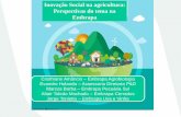 Inovação Social na agricultura: Perspectivas do tema na ... · Submissão da proposta ao CTI da Embrapa Caprinos e Ovinos 12/06/2017 Encaminhamento da proposta do CTI Embrapa ...
