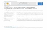Fístula linfática cervical: complicaciones y manejoscielo.isciii.es/pdf/maxi/v42n1/2173-9161-maxi-42-01-00025.pdfnido linfático, que típicamente muestra una concentración de triglicéridos