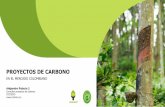 PROYECTOS DE CARBONObproyectos.car.gov.co/cambioclimaticoNRCOA/up/dcd20971f...Consultor proyectos de carbono CO2CERO Definiciones Proyecto de carbono: Iniciativa de reducción o captura