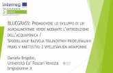 Presentazione standard di PowerPointcoopterritoriale.regione.veneto.it/Italia-Slovenia/wp... · 2019. 2. 7. · Calls per progetti standard n. 1/2016 1b, 2/2016 4e, 3/2016 6c, 6d,