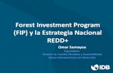 Forest Investment Program (FIP) y la Estrategia Nacional REDD+ · FIP para Guatemala • En mayo 2015 el CIF APROBÓ la propuesta de Guatemala para acceder a estos fondos por aproximadamente