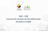 MAE – IGM Consumo de servicios de Geo-Información del …...CONCLUSIONES . La importante gestión que realiza el IGM al proporcionar la información geográfica a nivel nacional