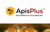 SALVAMOS A TUS ABEJAS - ApisPlus · tiene en consecuencia la eliminación de la cría de abejas muertas incluso en colonias de abejas antihigiénicas, que no llegaron a eliminar la