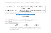 Manual de Apache OpenOffice Impress...Manual de Apache OpenOffice Impress. Capítulo 3. Trabajando con imágenes y autoformas 3 Las imágenes insertadas aparecen en el centro de la