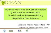 Buenas Prácticas de Comunicación y Educación Alimentario ... · 12 Características de Programas que califican como BP-CEAN Investigación formativa para explorar las conocimientos,