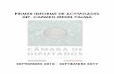 PRIMER INFORME DE ACTIVIDADES DIP. CARMEN MEDEL …gaceta.diputados.gob.mx/PDF/InfoDip/64/828-20191206-I.pdf · PRIMER INFORME DE ACTIVIDADES DIP. CARMEN MEDEL PALMA ... difusión
