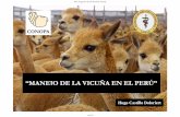“MANEJO VICUÑA EN L PERÚ”” MNEJO DE LA VCUÑ EN E PE Úproduccion-animal.com.ar/produccion_de_camelidos/... · $QLPDO Telarmachay, Junín, domesticación de la vicuña da