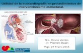Presentación de PowerPoint€¦ · Dra. Castro Verdes Dr. Paredes Galán Vigo, 27 Enero 2016 Utilidad de la ecocardiografía en procedimientos de intervencionismo estructural.