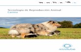 Tecnología de Reproducción Animal Canino · Tecnología de Reproducción Animal Canino. Los conocimientos profundos de la fisiología reproductiva son básicos para garantizarle