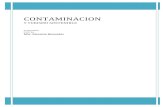 CONTAMINACION€¦ · CONTAMINACION Y TURISMO SOSTENIBLE 01/01/2010 CETD SA MSc. Mauricio Bermúdez . CONTAMINACION m.bermudez Página 2 Contenido 1 Contaminación ..... 5 1.1 Contaminante