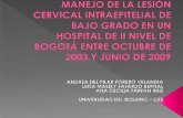Cáncer de cuello uterino 3° causa Colombia primer lugar en ...repository.urosario.edu.co/bitstream/handle/10336/1696/Anexo1.pdf · El sistema Bethesda usa el término lesión intraepitelial