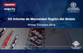 XX Informe de Morosidad Región del Biobío€¦ · Región del Biobío mar-17 mar-18 Tasa de crecimiento Mora Promedio $1.253.033 $1.341.077 7% Morosos 516.813 520.694 0.8%. Personas