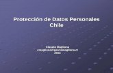 Protección de Datos Personales Chile20P...Privacidad: Estándares Internacionales (b) OCDE 1980, Directiva Europea 1995, APEC 2004, Resolución de Madrid 2009 Protección de Datos