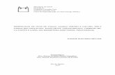 Ministério da Saúde FIOCRUZ Curso de Especialização em ...€¦ · LA-FUENTE E LOPES, 2013 (HEMIPTERA, REDUVIIDAE, TRIATOMINAE) Monografia submetida como requisito parcial para