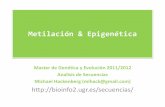 Metilación & Epigenética - UGR · • Para humano hay 1166274639, para ratón 69459481y para Arabidopsis 16321229 datos de metilación. • La base de datos cuenta con dos modos