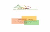 CONSULTORÍA FORESTAL Y AGRÁRIA CURRICULOProyecto de Ordenación de la finca particular “Monte de Acedos” en el término municipal de Muñopedro (Segovia) Cliente: Grupo Acedos