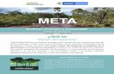 Factsheet META MAYO 2019 - Visión Amazonía€¦ · Vista Hermosa Puerto Rico Municipios priorizados por deforestación en Meta año 2017 Deforestación Motores de deforestación