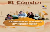 Lanzamiento del Programa Soy Empresa Andina€¦ · Países de la Región Andina y, sobre Economía Naranja, propuestos por el parlamentario Alan Fairlie, los cuales seguirán en