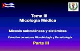Tema III Micología Médicauvsfajardo.sld.cu/sites/uvsfajardo.sld.cu/files/micosis... · 2018. 4. 10. · Coccidioidomicosis cutánea primaria 15-20 días después de la inoculación,