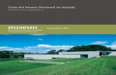 Guía del Museo Nacional de Irlanda Museo Etnográfico · terrazas de césped, islotes para picnic, parterres formales, un campo de croquet y una pista de tenis. En el “turlough”