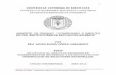 UNIVERSIDAD AUTONOMA DE NUEVO LEONcdigital.dgb.uanl.mx/te/1080253828.pdf · En el año de 1933, se instituyó la Universidad de Nuevo León, y la EIAO, de inmediato formó parte de