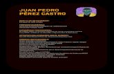 JUAN PEDRO PÉREZ CASTRO - El Prat de LlobregatJUAN PEDRO PÉREZ CASTRO DATA I LLOC DE NAIXEMENT: 8 d'agost de 1978 a Cadis FORMACIÓ ACADÈMICA: Llicenciat en Ciències Polítiques