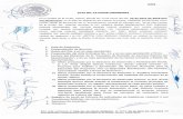 elgrullo.gob.mx … · Presentación del Acta Ordinaria No. Il, y en su caso aprobación y firma. Lectura del Dictamen de la "Comisión de Revisión de Asuntos Materia del ... Keila
