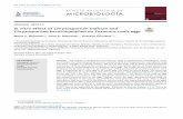 EVISTA ARGENTINA DE MICROBIOLOGÍAaam.org.ar/src/download.php?adjunto=11102018.3.pdf · Geohelmintos Efecto in vitro de Chrysosporium indicum y Chrysosporium keratinophylum sobre