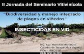INSECTICIDAS EN VID - Argentina · 24 de junio de 2016 II Jornada del Seminario Vitivinícola ... COMO UNA APROXIMACIÓN A LOS PLAGUICIDAS HAREMOS MENCIÓN A LAS SIGUIENTES CARACTERÍSTICAS