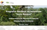 Programa Nacional de Incentivos...Un incentivo que se inserta en la Estrategia de Incentivos para la Conservación y Uso Sostenible del Patrimonio Natural, como un mecanismo no monetario.