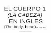 EL CUERPO 1 · 2018. 5. 11. · EL CUERPO 1 (LA CABEZA) EN INGLES (The body, head) [de bodi, jed]