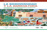 LA BIODIVERSIDAD Y LA AGRICULTURA - concyteq.edu.mx · 2019. 6. 17. · de la biodiversidad agrícola y poseen el conocimiento necesario para gestionar y preservarla. La AGRICULTURA