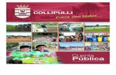 Cta. Pública Collipulli - Municipalidad Collipulli. Publica Collipulli.pdf · Programa PAC (Plan de Apoyo Compartido) DirigidoporelDepto.ProvincialdeEducación,elProgramaPAC(PlandeApoyoCom-