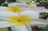 Electropuntura bioenergéticabioenergética E l mecanismo físico que ha-ce posible la transferencia de la energía etérea es el siste-ma de los meridianos de acupun-tura. Los meridianos