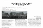 El cultivo ::in vitroj) - Ministerio de Agricultura,Pesca ... · En el laboratorio de cultivo uin vitrom de la Escuela Superior de Agricultura de Barcelona, además de los estudios