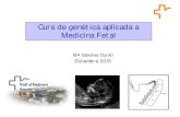 Curs de genètica aplicada a Medicina Fetal · 2015. 12. 4. · Medicina Fetal. Detección de defectos congénitos. Introducción. Desarrollo Genética. Alternativas reproductivas.