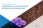 Experto Universitario en Antibióticos en el Tratamiento de ... · 1.3. Actualización en los mecanismos de acción de los antimicrobianos: 1.3.1. Principales mecanismos de acción