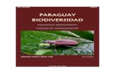 PARAGUAY BIODIVERSITY PARAGUAY BIODIVERSITÄTParaguay Biodiversidad 1(9) 38-43 Asunción, Julio 2014 Biodiversity Research in “Reserva Natural Dimas” Ulf Drechsel* Abstract: In