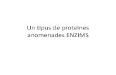 Un tipus de proteïnes anomenades ENZIMS · Un tipus de proteïnes anomenades ENZIMS. Al nostre cos ocorren moltíssimes de reaccions ... és a dir que tinga suficient energia per