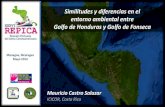 Presentación de PowerPoint - cocatram · Similitudes y diferencias en el entorno ambiental entre Golfo de Honduras y Golfo de Fonseca Mauricio Castro Salazar ICICOR, Costa Rica Managua,